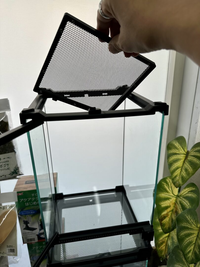 レインフォレストタンク2030 グラステラリウム 爬虫類 両性類