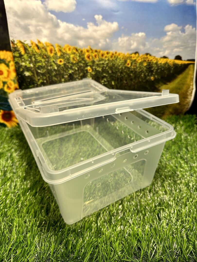 レプタイルボックス 昆虫 爬虫類 両性類飼育ケース クリア | ピュア