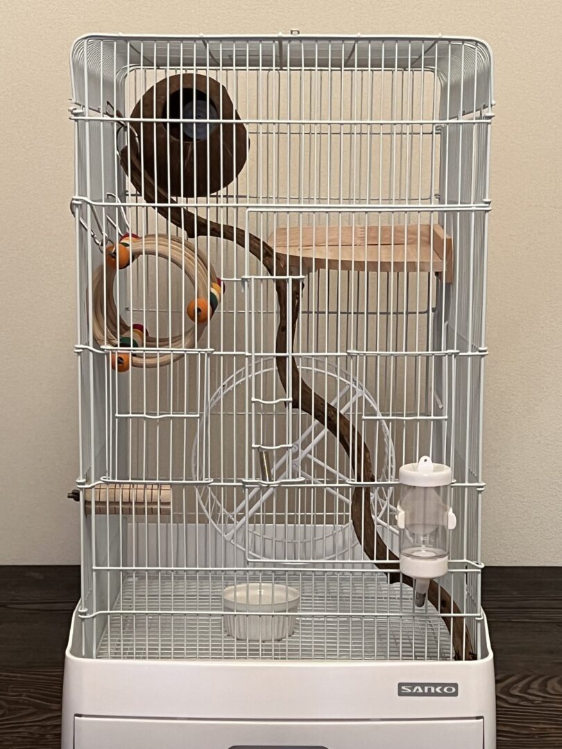 リス・モモンガ飼育ケージセット | ピュアアニマル
