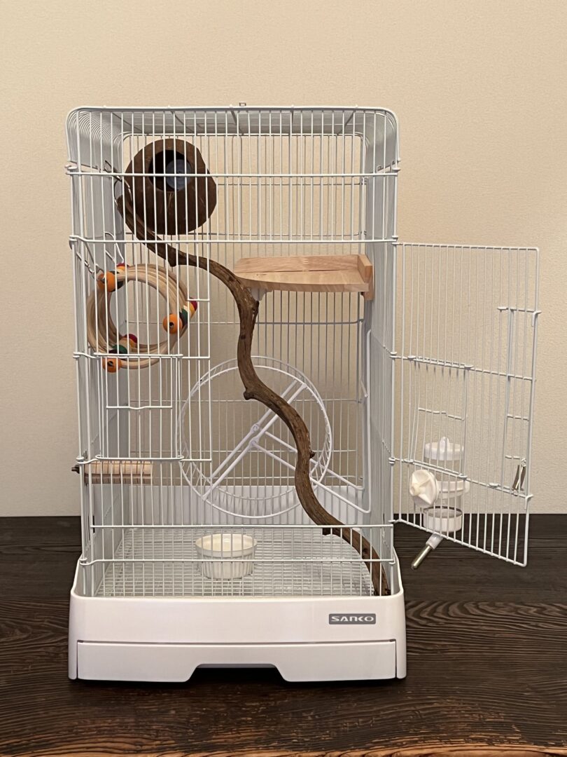 DESIGN MINORITY ケージ アクリル 68cm フクロモモンガ 楽天市場