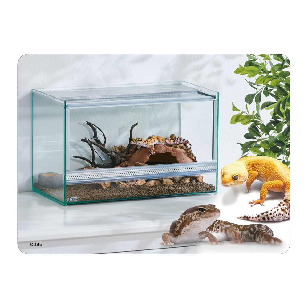 GEX(ジェックス) エキゾテラ グラステラリウム9045 爬虫類 飼育ケージ