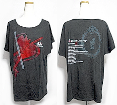 ピュアサウンド / sp_アーティスト_取扱商品_詳細表示