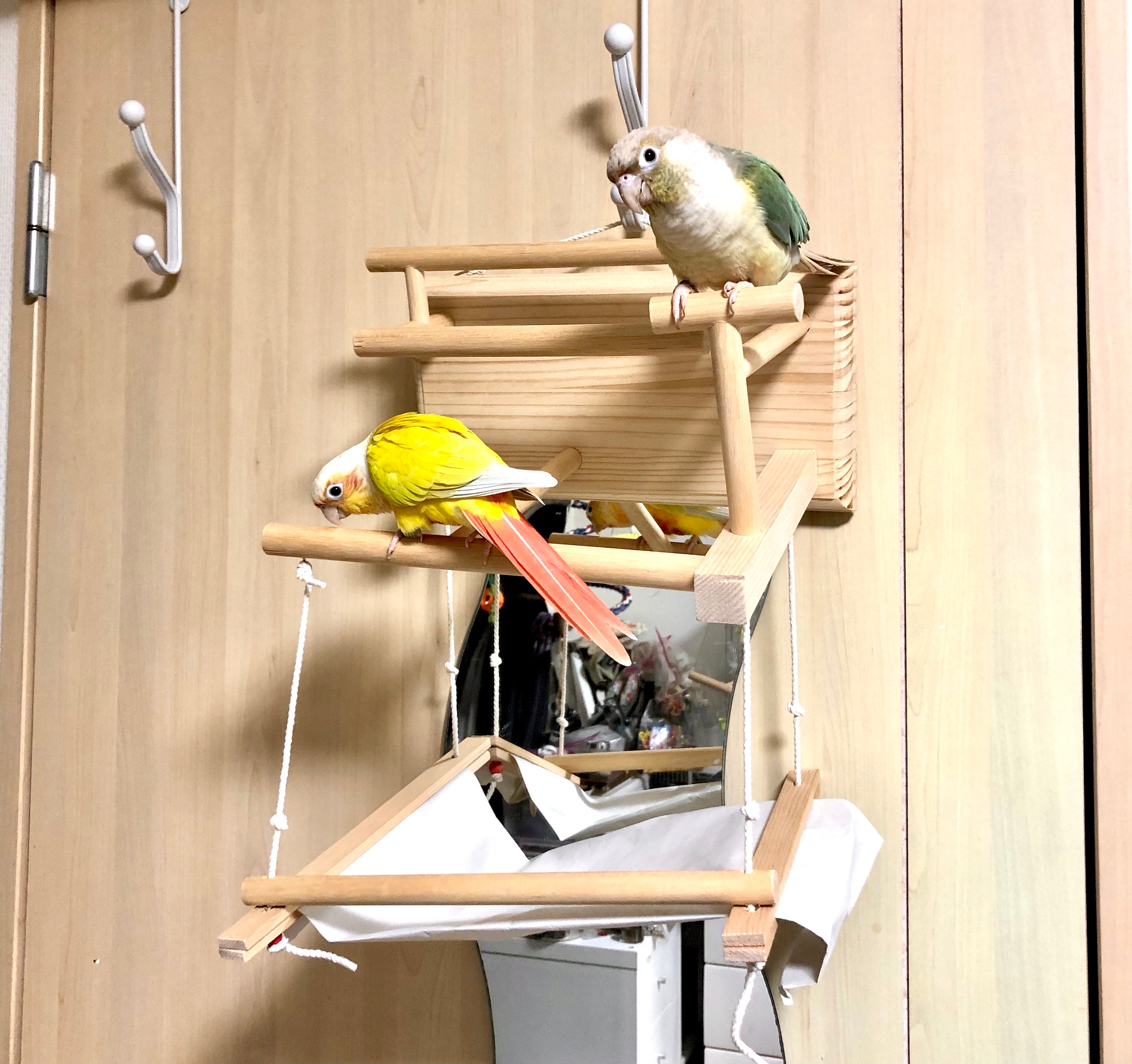 42BG 机にも壁にも掛ける♪ Table & Wall （バードアスレチック