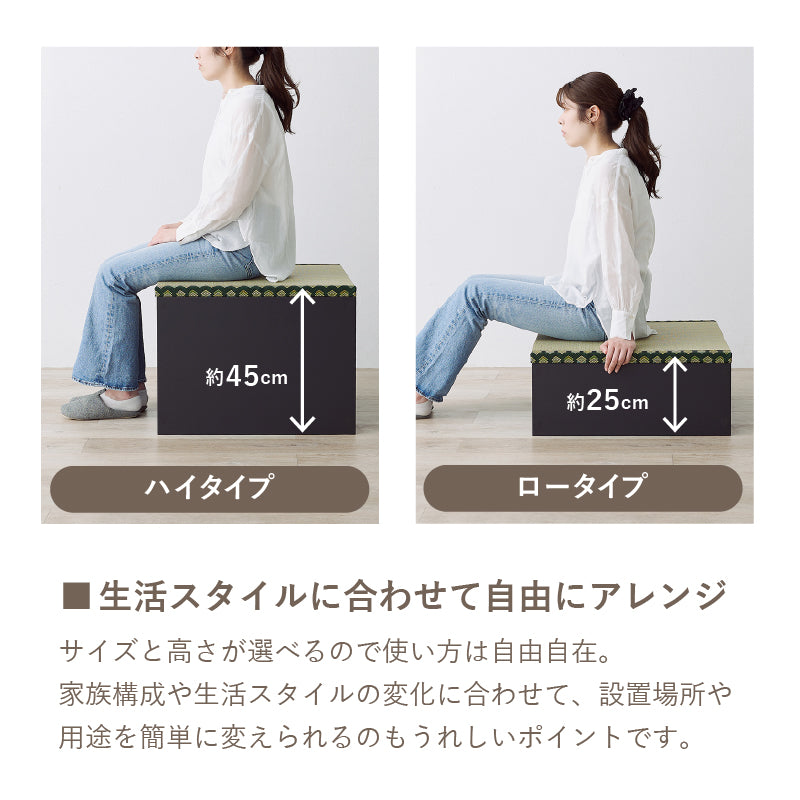 小上がり畳 収納付き タタミ座 [4サイズ] | おしゃれな家具