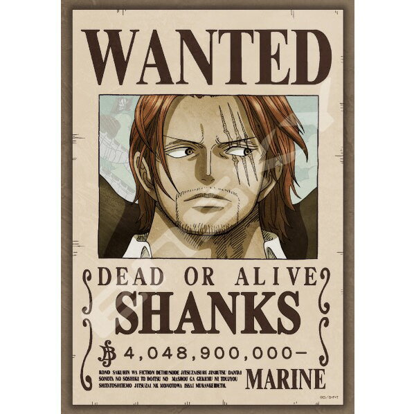 ワンピース ルフィ 懸賞金300,000,000ベリー 楽天市場】エンスカイ