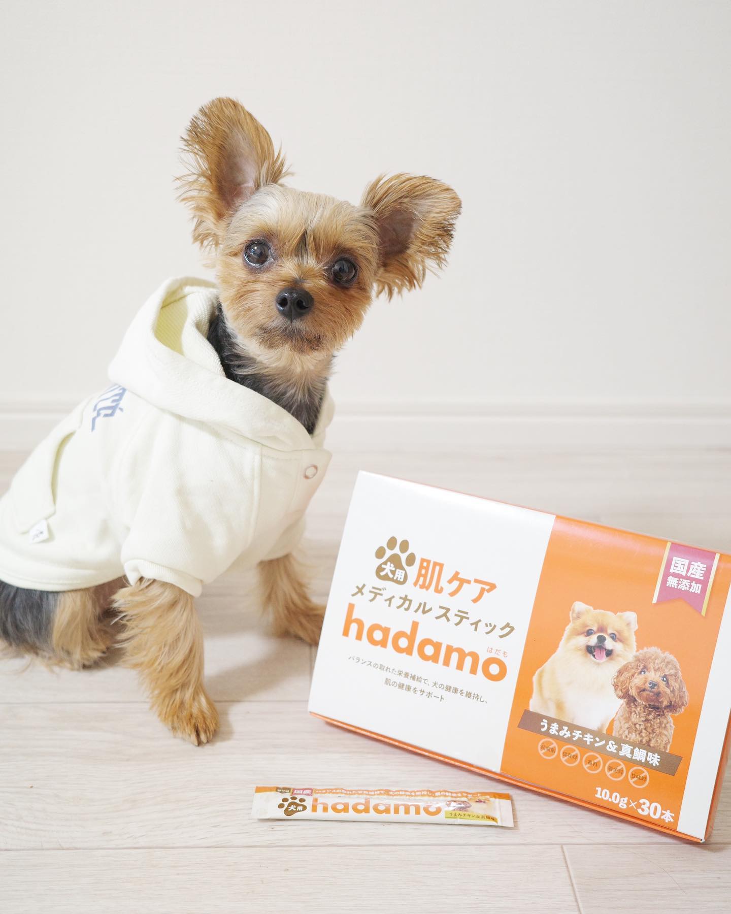 犬 肌ケア hadamo3箱 hadamo（ハダモ）公式｜犬用肌ケアメディカル