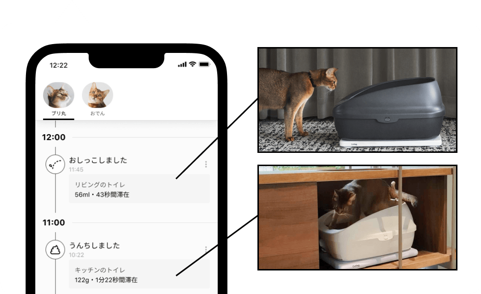 Catlog Boardの購入 | Catlog