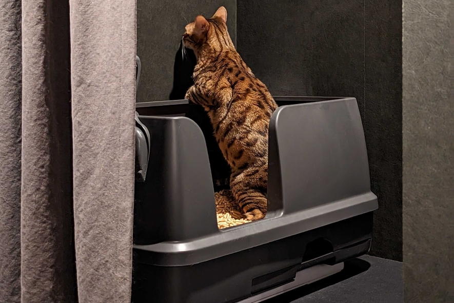 Catlog Boardの購入 | Catlog