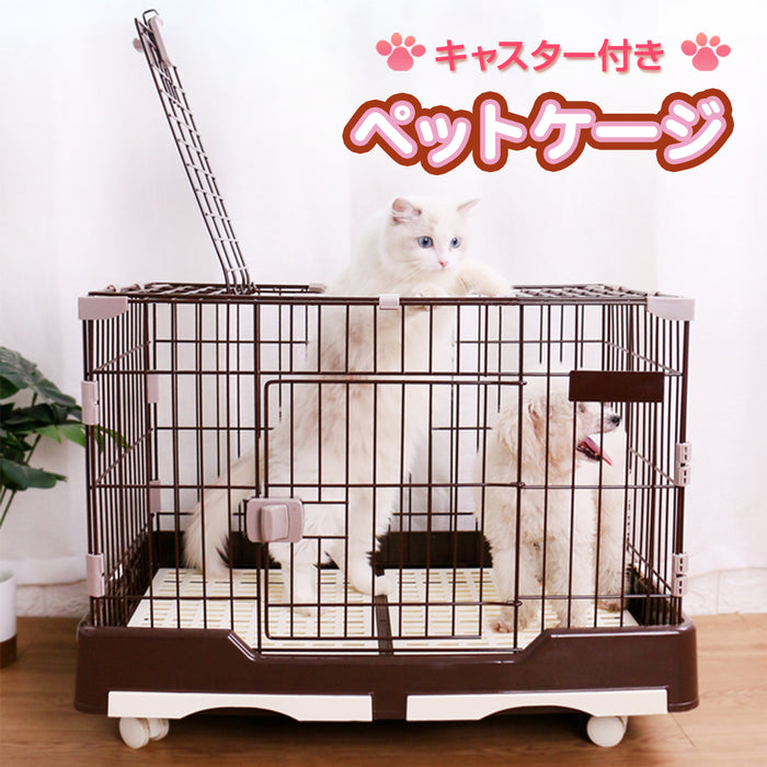 6月18日以降に順次発送予定です】RAKU 給水器付 うさぎのカンタン