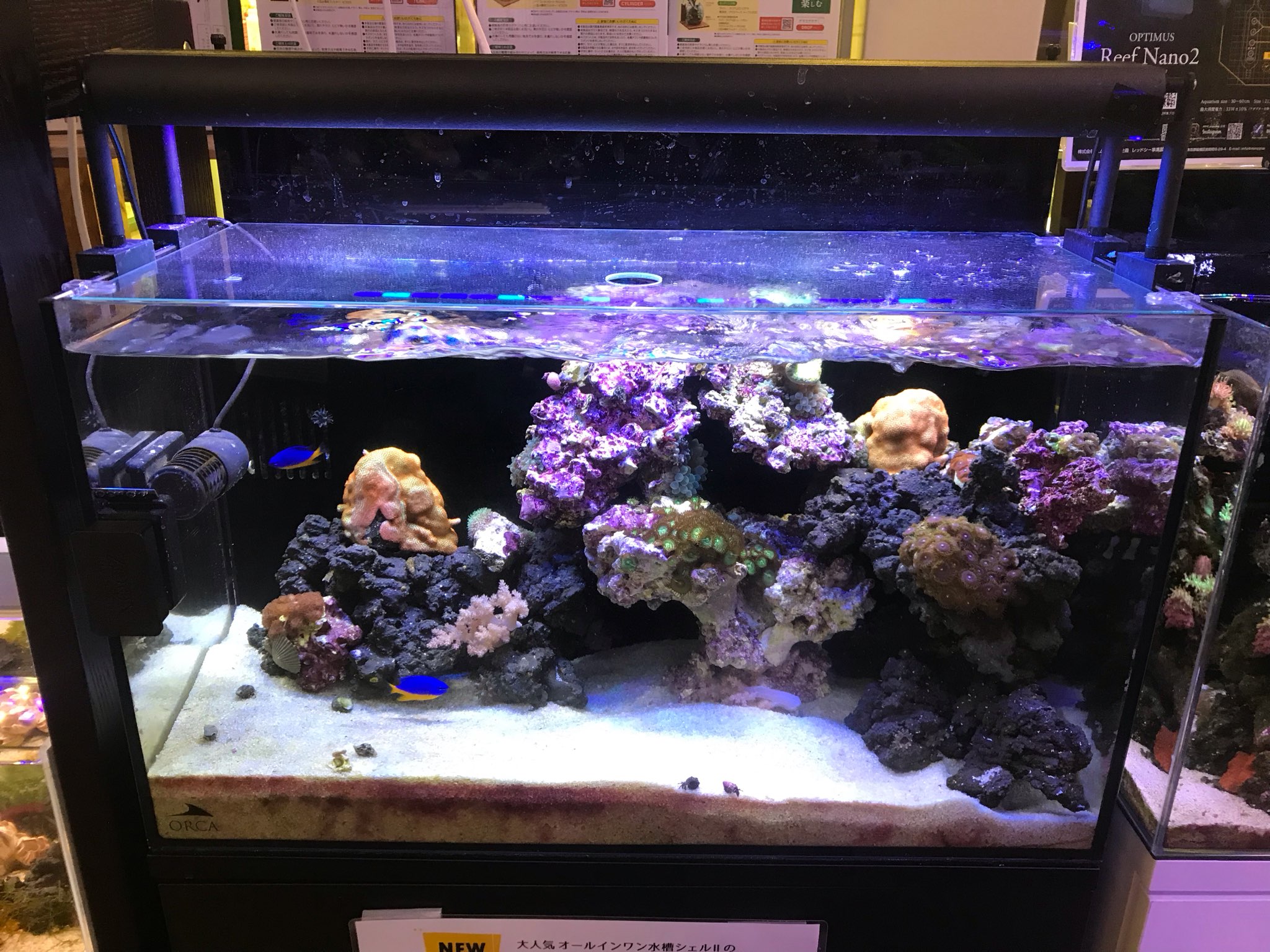 オルカシェル2水槽セット