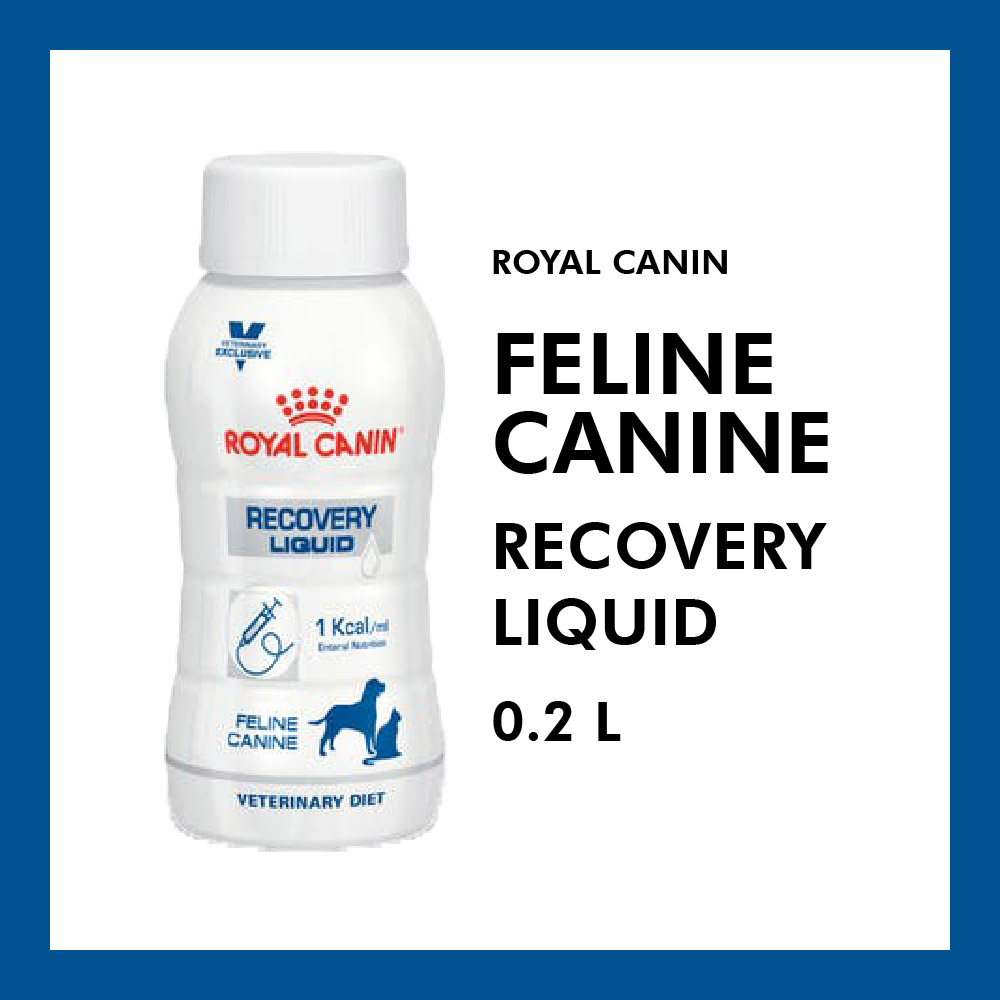 Royal Canin Recovery Liquid For Dog and Cat 0.2L - RedRusa