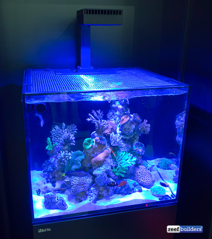 Red Sea ReefLED 90 & 50 Full Details Highlighted in New Webpage