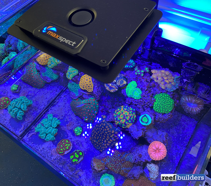 Maxspect Jump L-165 LED Strikes a Balance of Features, Power, and