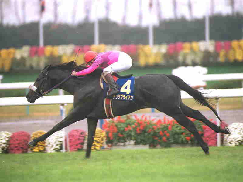 ナリタブライアン産駒の特徴や成績 | 名馬＆ジョッキー