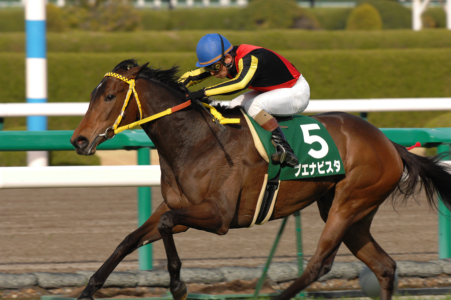 ナリタブライアンとディープインパクトが勝負したら勝つのは!? | 名馬