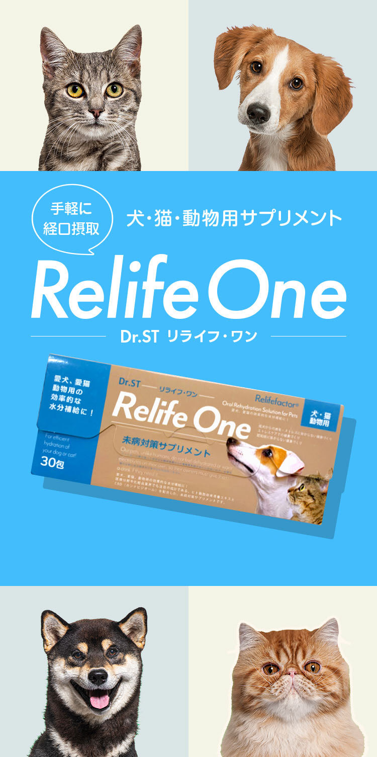Relife One – Dr.ST Relife One