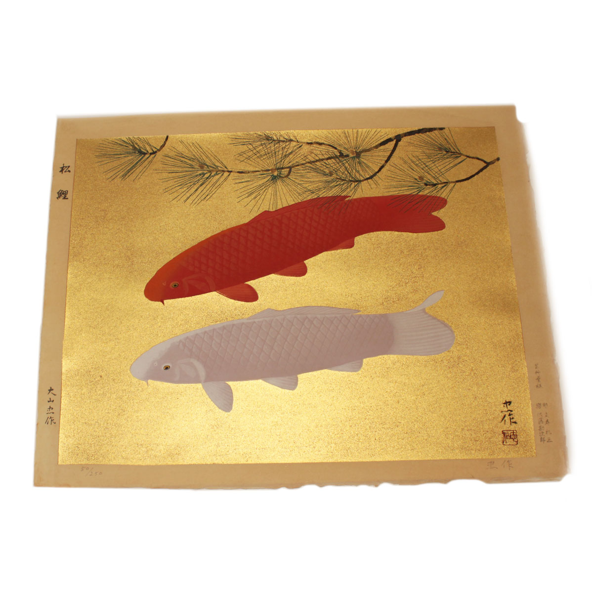 鯉と松の掛軸 【遊鯉】鈴木大麻 作 鯉と松の掛軸 【遊鯉】鈴木大麻 作