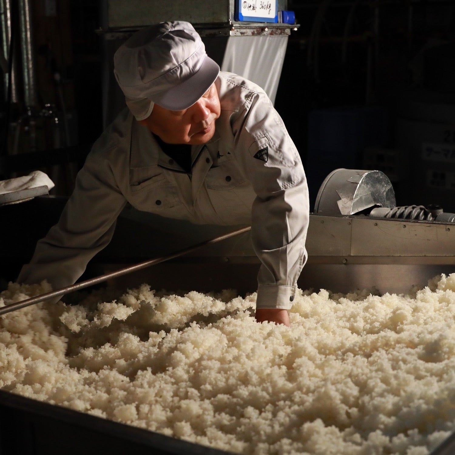 勝山 純米大吟醸 干支ラベル 2026 720ml | かつやま えとラベル じゅん