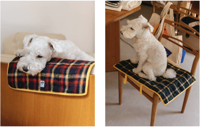 フォイヌ｜カフェマット（40×60︎cm） - Orné de Feuilles(オルネド