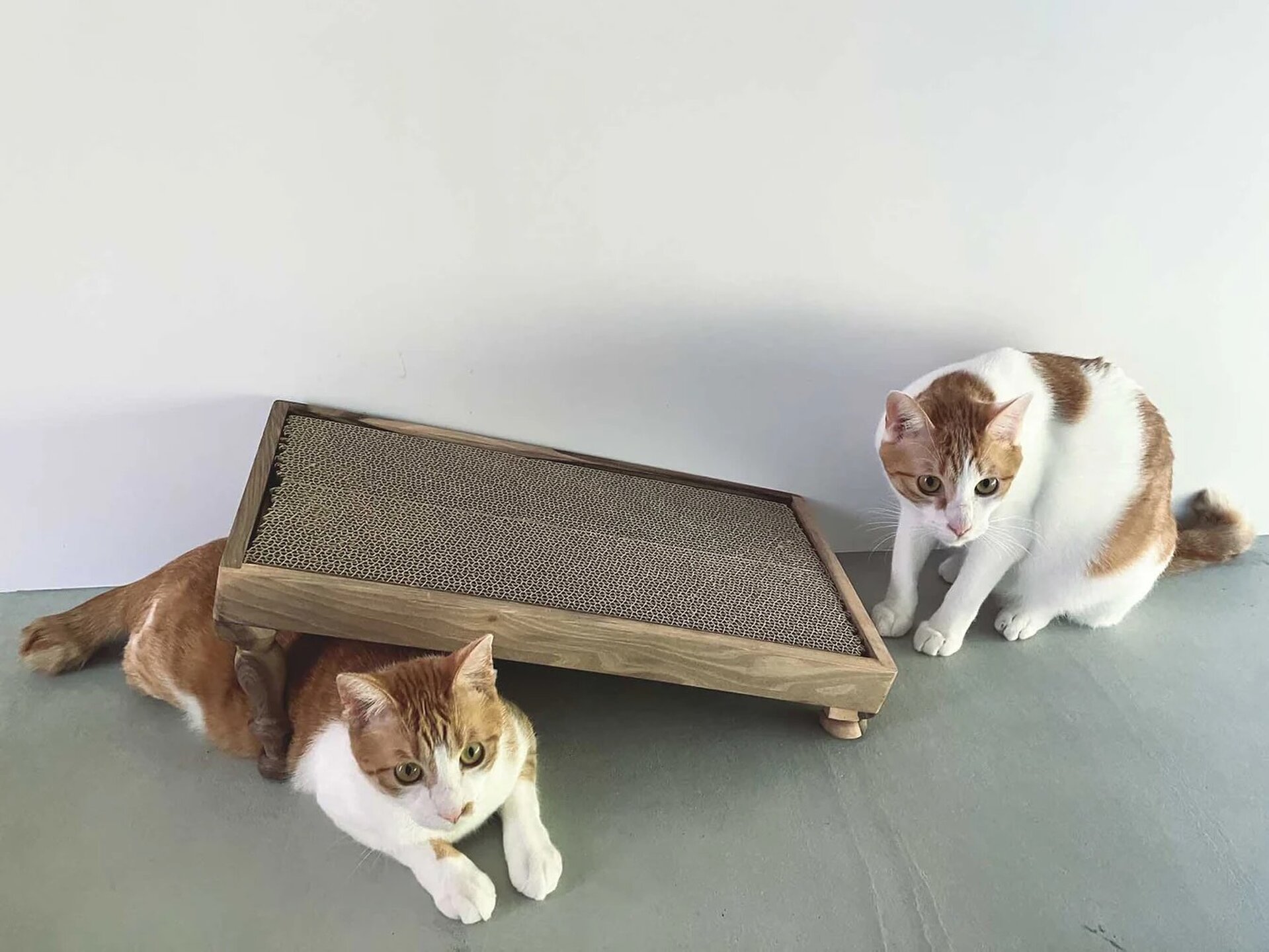 オルネコ｜クルミの木の爪とぎ用段ボール - Orné de Feuilles(オルネド