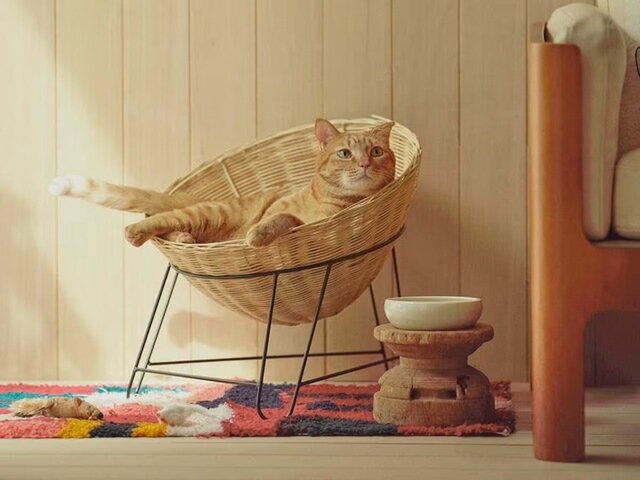 猫にも家具を。ネコと一緒に使う、『オルネコ』のインテリア。 - Orné