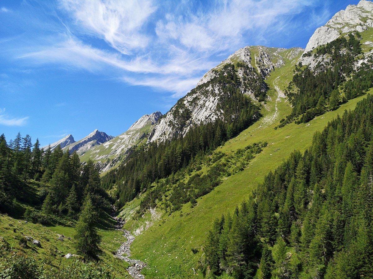 Mountain meadows are threatened by climate change