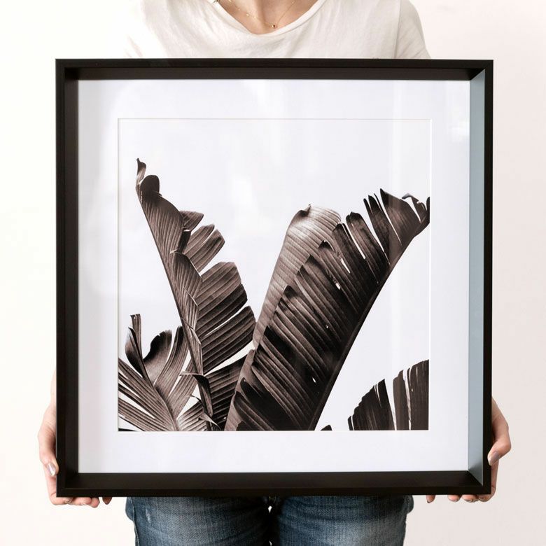 アートフレーム 壁掛け インテリア モノトーン リーフ 50×50cm アート