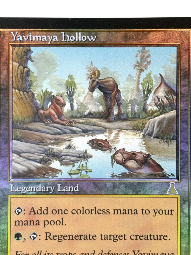 MTG ヤヴィマヤのうろ穴 MTG高額カード紹介！ | ヤヴィマヤのうろ穴