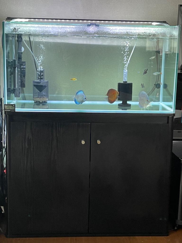 コトブキ工芸 コトブキ レグラスフラット F−900L 90cmフレーム