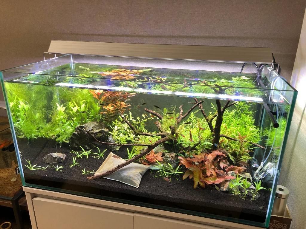 コトブキ工芸 コトブキ レグラスフラット F−900L 90cmフレーム