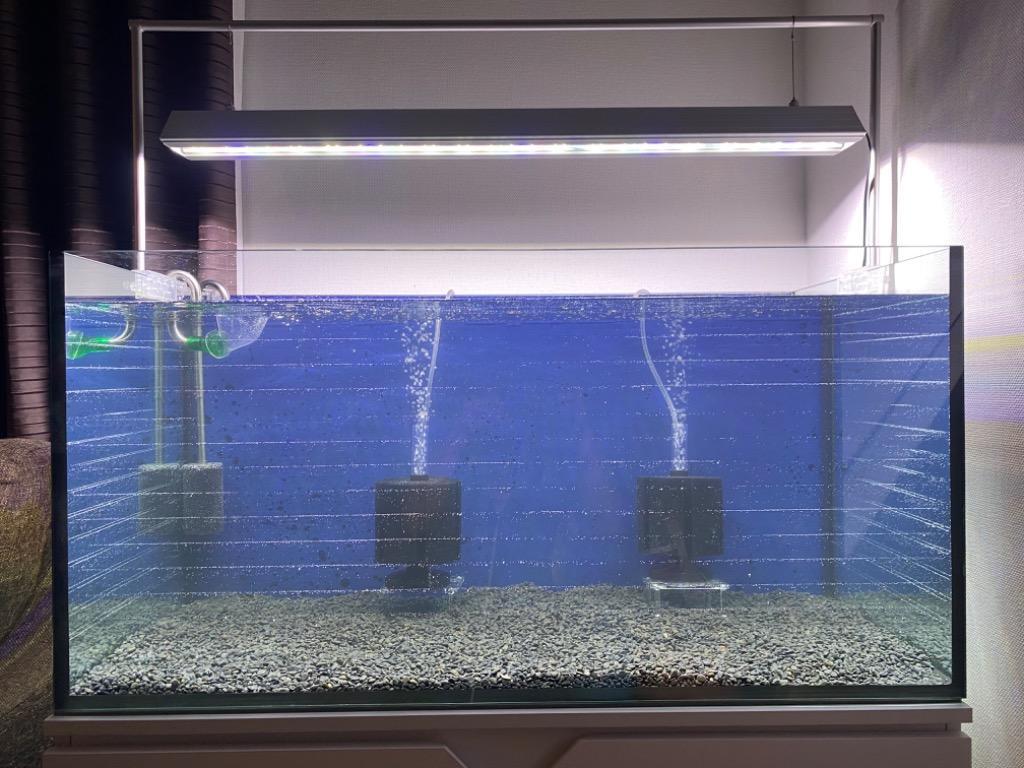 コトブキ工芸 コトブキ レグラスフラット F−900L ブラック