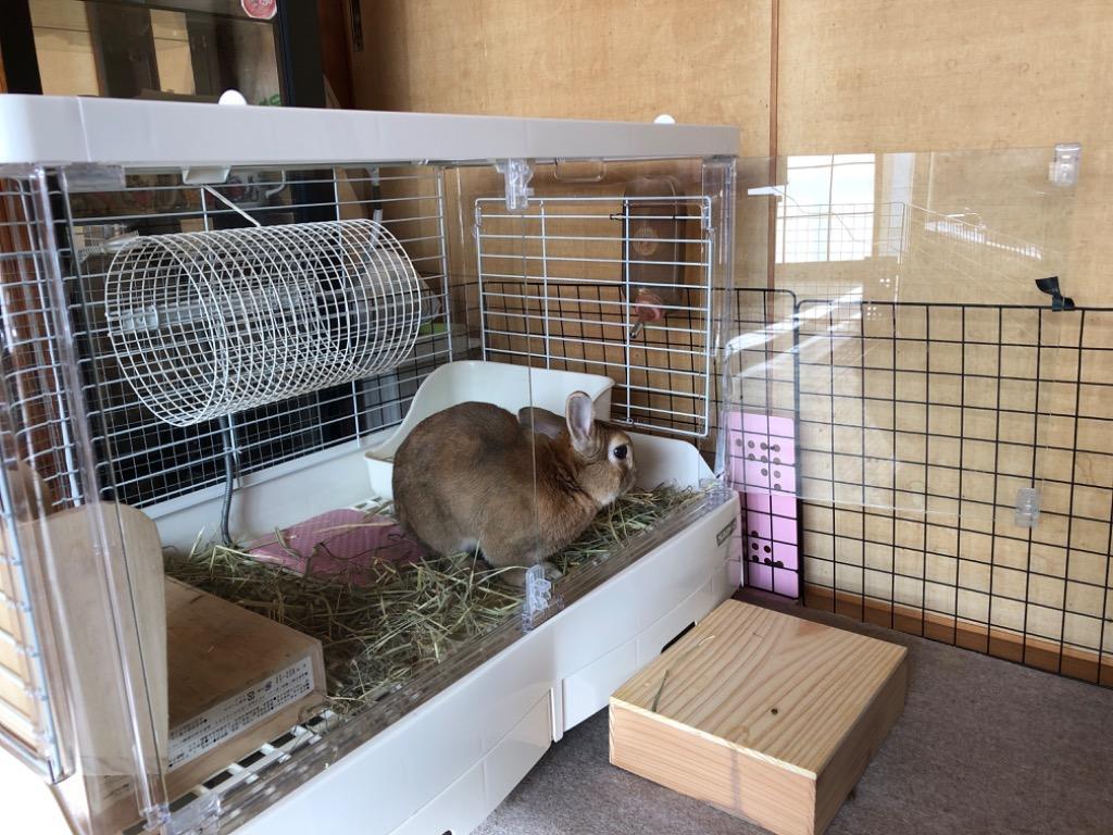 イージーホーム シャイニー 80WH - 最安値・価格比較 - Yahoo!ショッピング