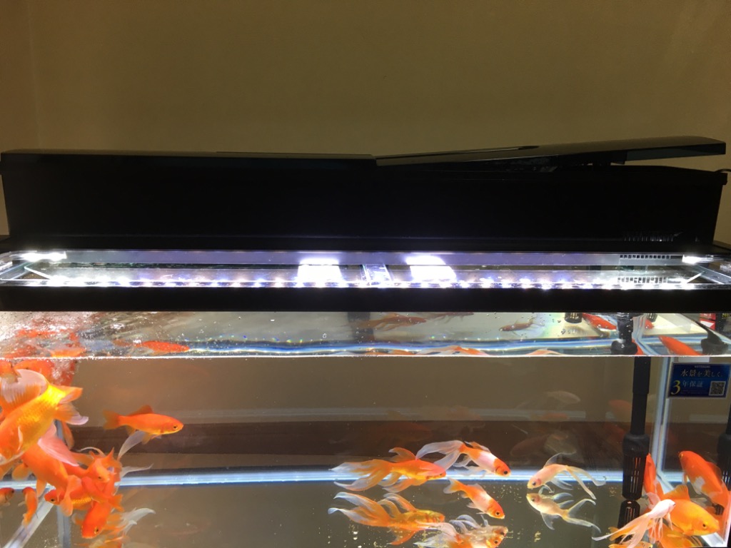 KOTOBUKI WIDE 900ブラック水槽 Amazon | 寿工芸 水槽 KC-ワイド900