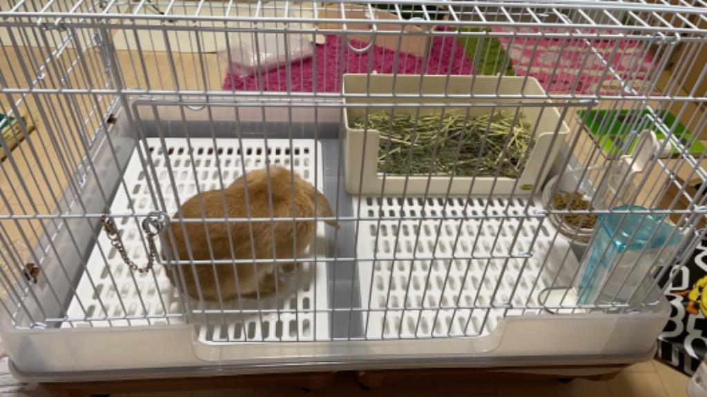 マルカン うさぎケージ うさぎのカンタンおそうじケージ ワイドB