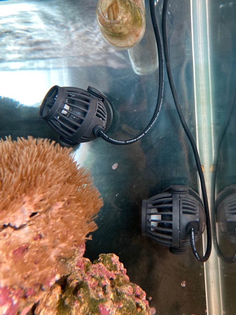 ボルクスジャパン VestaWave VW04HG 15W 4000L