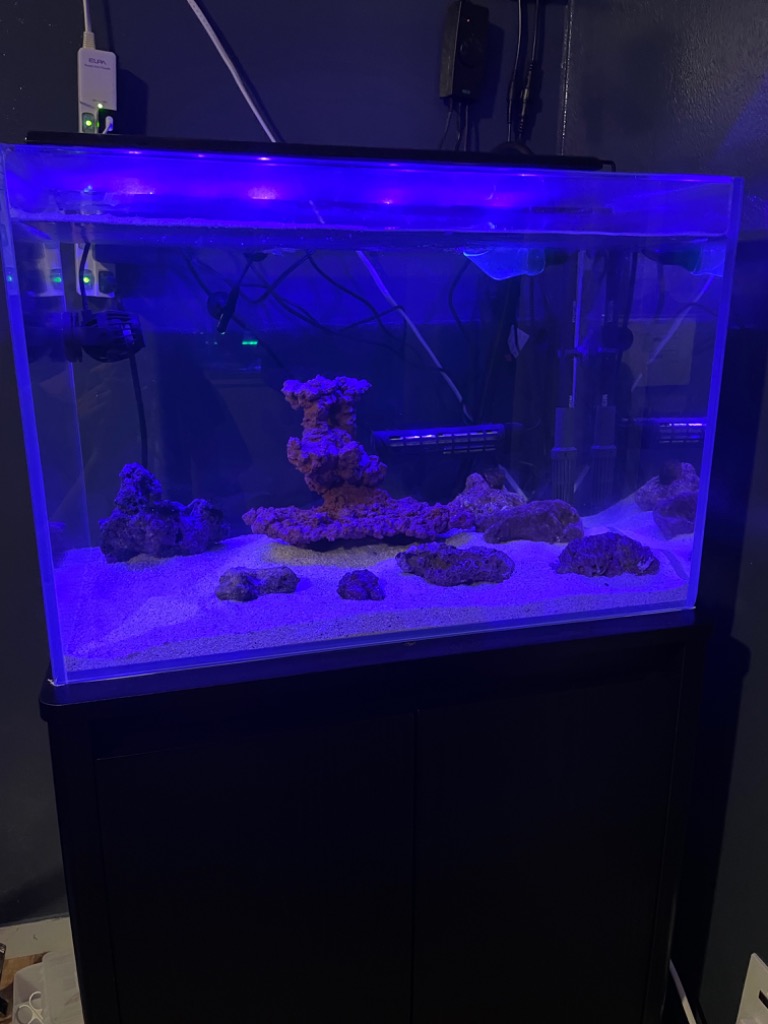 volxjapan（ボルクスジャパン） Grassy Wing2 60