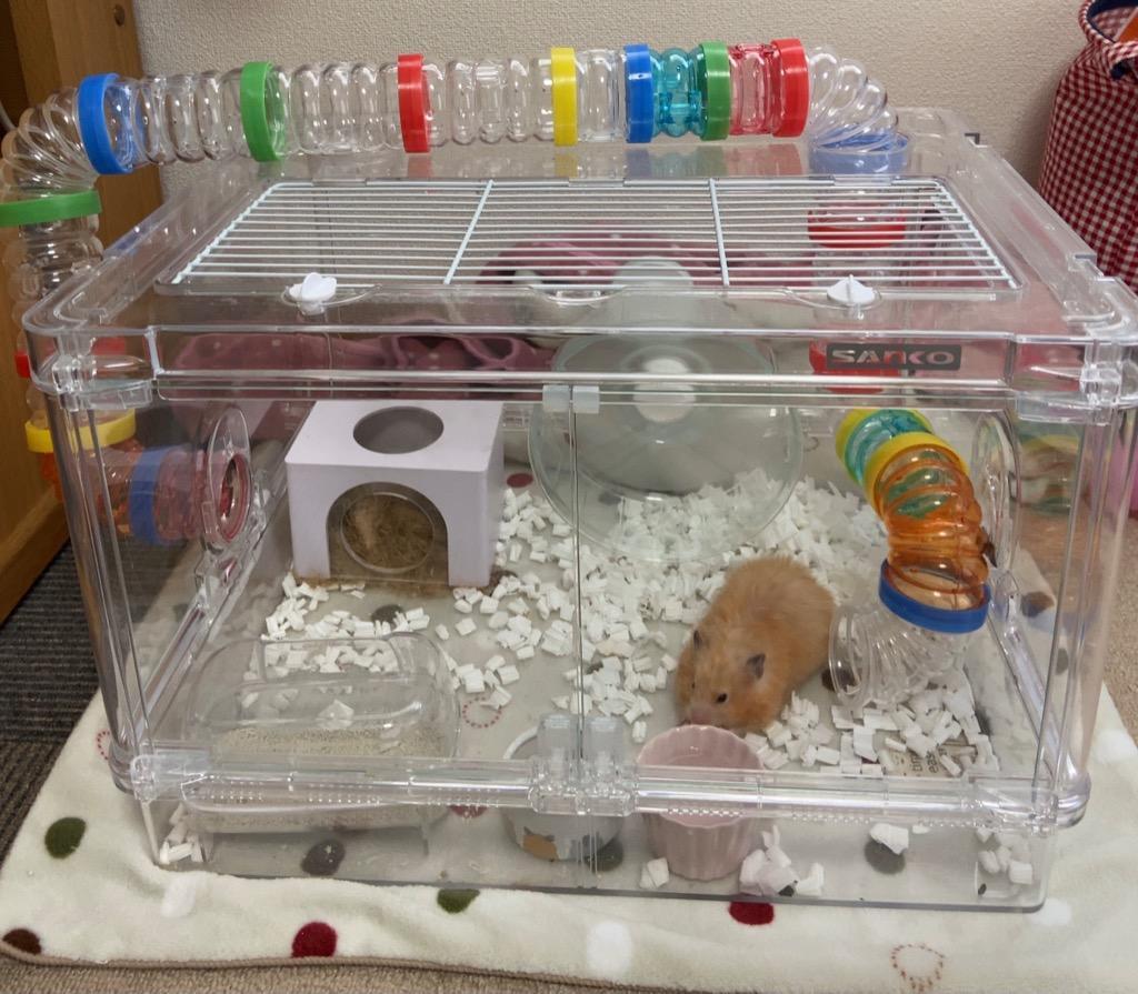 SANKO シャイニー45 ハムスター ケージ トイレ パイプ お世話セット 三
