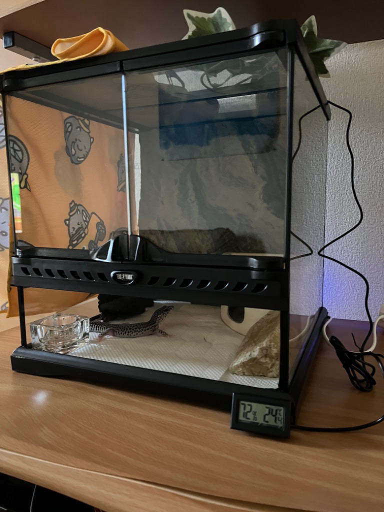 GEX（ジェックス） 爬虫類ケージ エキゾテラ グラステラリウム