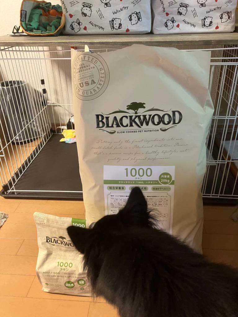 BLACKWOOD（ブラックウッド） 1000 20kg : goody - 通販 - Yahoo