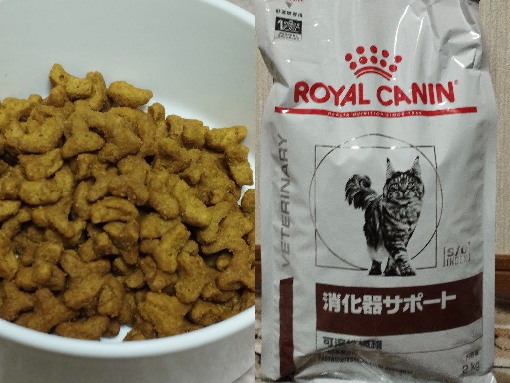 ロイヤルカナン（ROYAL CANIN） 【3袋セット】ロイヤルカナン 食事療法