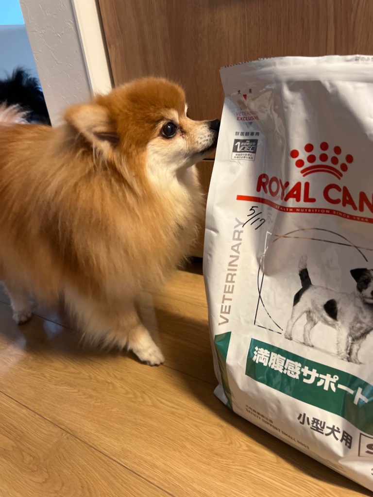 ロイヤルカナン（ROYAL CANIN） 【2袋セット】ロイヤルカナン 食事療法