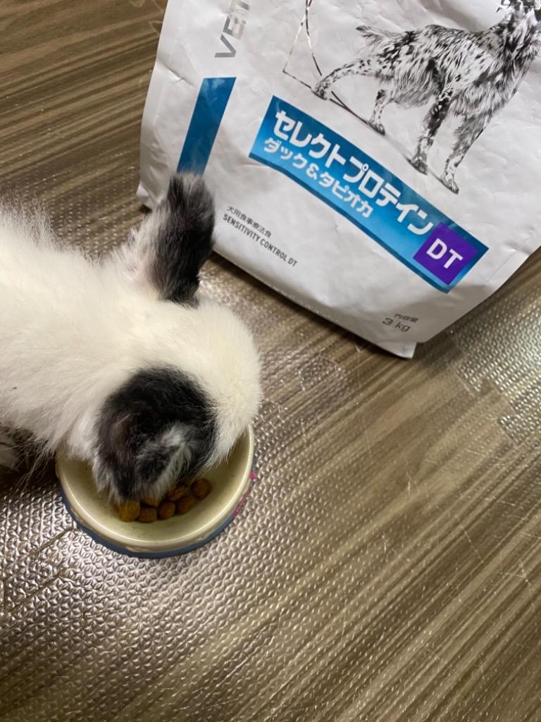 ロイヤルカナン（ROYAL CANIN） 食事療法食 犬用 セレクトプロテイン