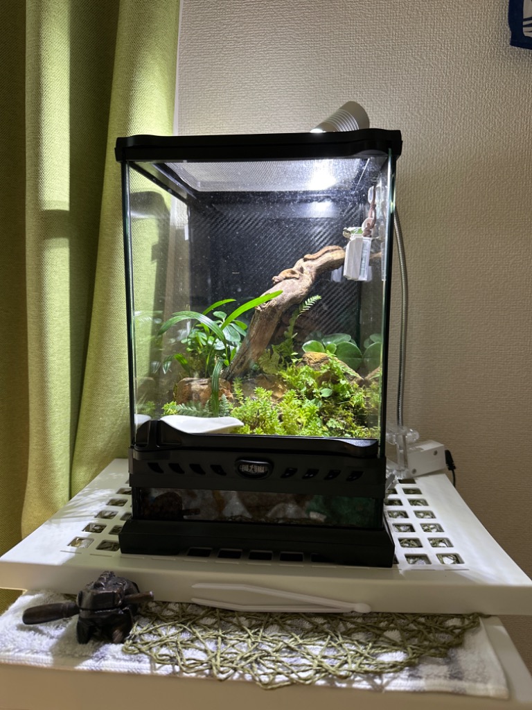 GEX（ジェックス） 【全国送料無料】 エキゾテラ グラステラリウム