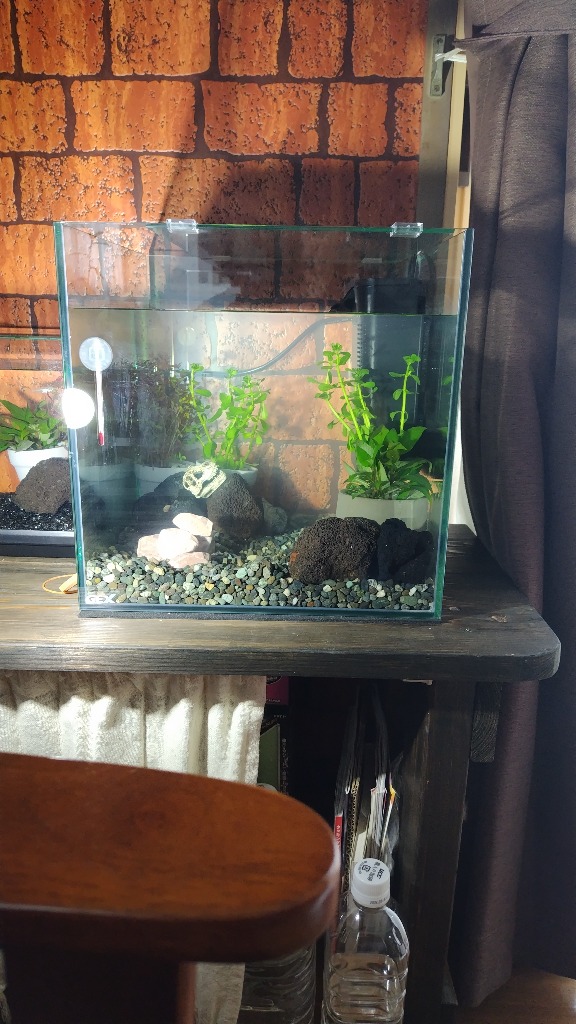 GEX（ジェックス） 【全国送料無料】 グラステリア 300キューブ