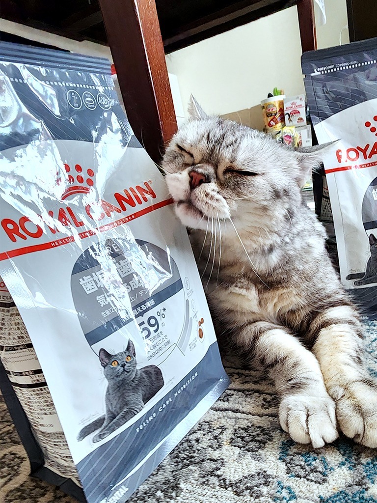 フィーライン ケア ニュートリション □15％PayPayポイント□【400g×2