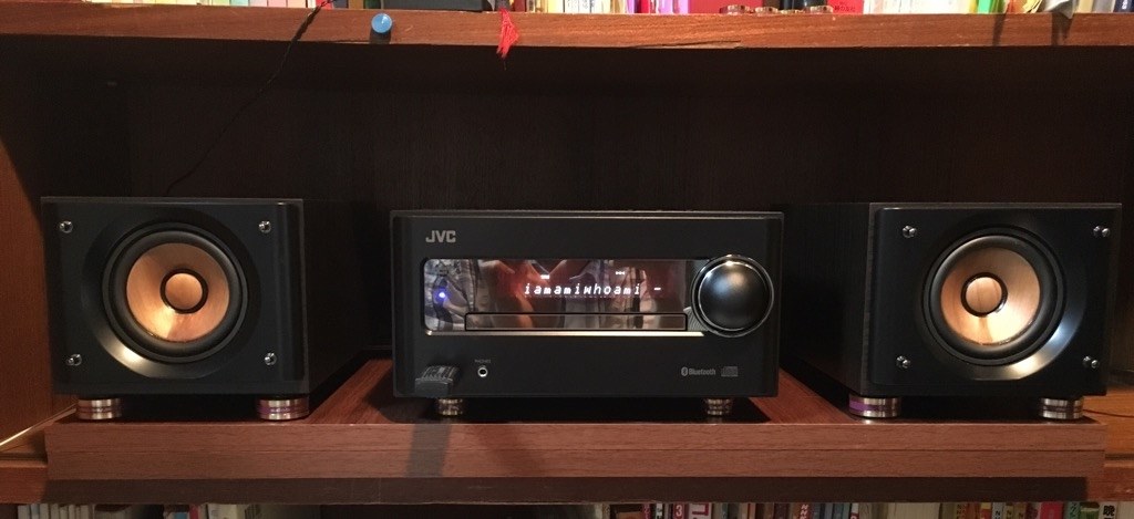 外観通りの音質』 JVC WOOD CONE EX-S5-B [ブラック] じおたさんの