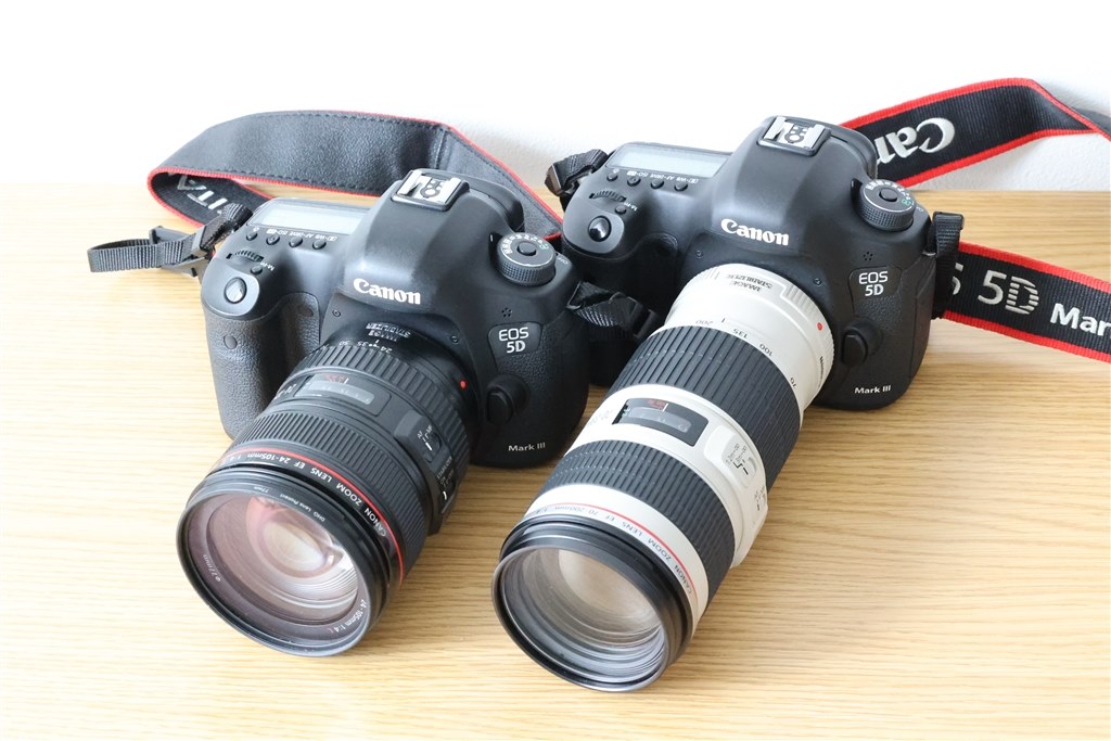 R6のサブ機のつもりがメーン機に。』 CANON EOS 5D Mark III ボディ