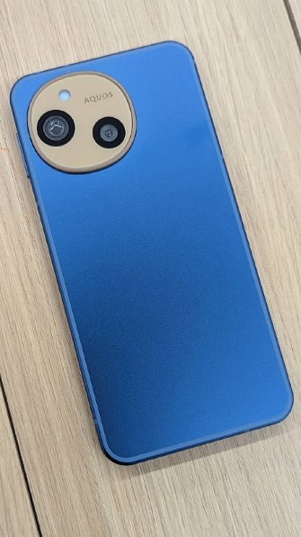 シャープ AQUOS sense10 SoftBank [ペールミント] 価格比較 - 価格.com