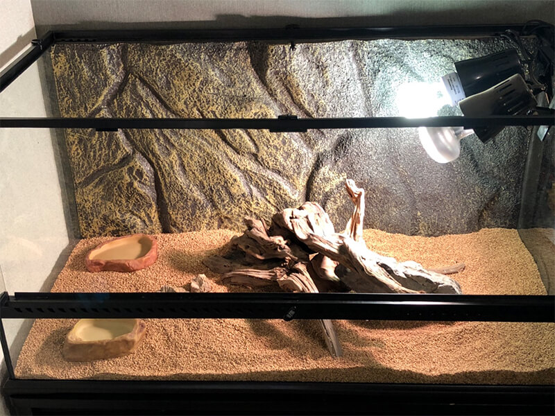 爬虫類ケージ レイアウト