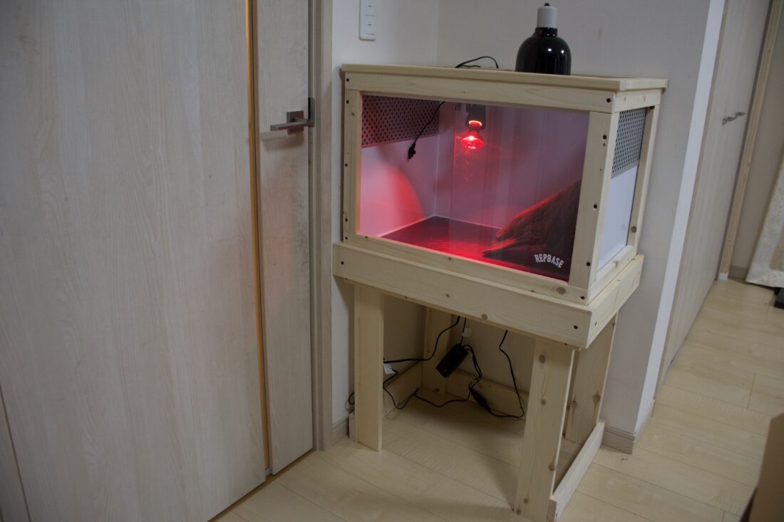 オーダーケージ フトアゴヒゲトカゲ｜爬虫類、昆虫、小動物のオーダー